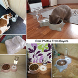 Cat/Dog Bowl with Water Feeder