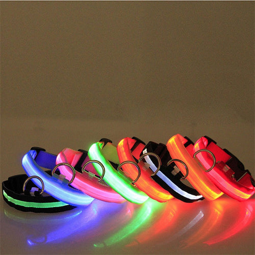 Glowing LED Dog Collar