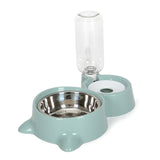 Cat/Dog Bowl with Water Feeder